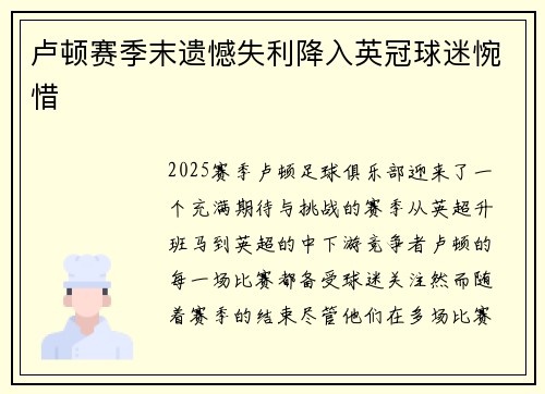 卢顿赛季末遗憾失利降入英冠球迷惋惜 卢顿赛季末遗憾失利降入英冠球迷惋惜